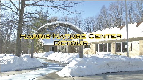 Detour to the Harris Nature Center